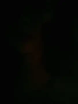 HellaWerlous online show from January 2026 04:34:02 PM