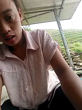 optra34 online show from April 2026 04:08:02 AM