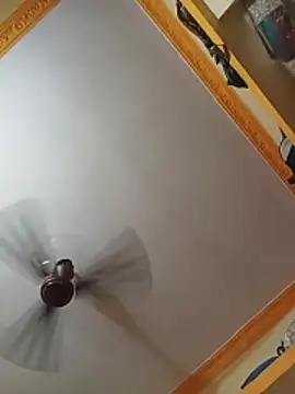 NISHU-TELUGU online show from March 2026 02:38:01 PM