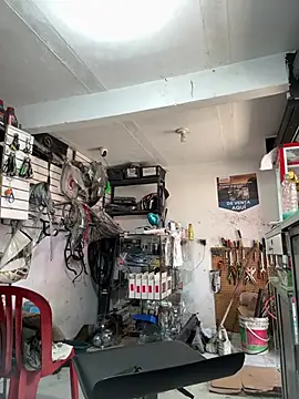 Terra-22cm online show from January 2026 01:59:02 PM