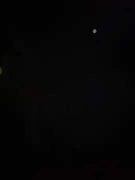 AmbarFoxx  online show from July 2026 02:51:02 AM