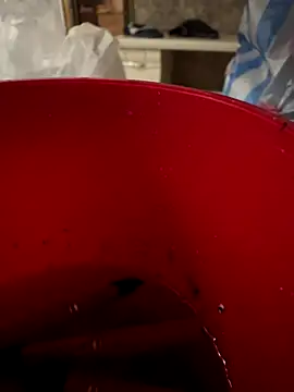 ciaodong online show from September 2025 04:41:02 PM