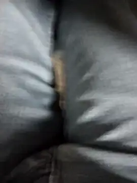 Ajayy01 online show from March 2026 07:14:02 AM