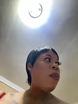 THICKBUNNYCHICKxxx online show from May 2026 08:17:02 PM