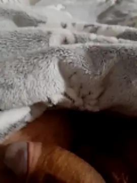 ratoncito 3 online show from November 2025 02:06:01 AM