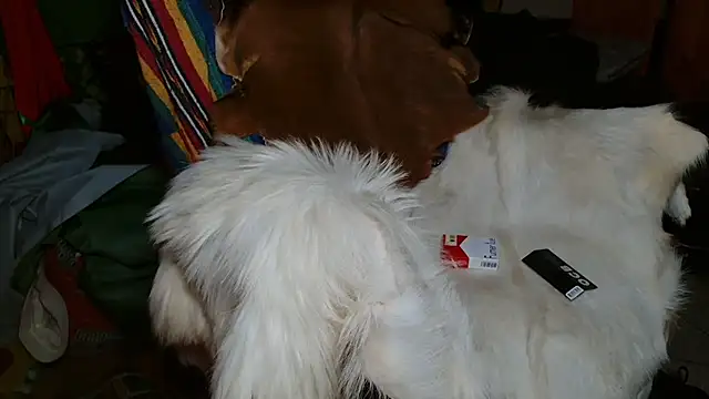 JUSTFORRICH online show from January 2026 10:12:02 PM