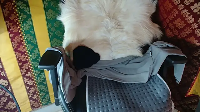 JUSTFORRICH online show from April 2026 12:34:02 PM