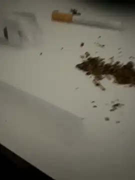 evawx9 online show from March 2026 06:12:02 PM