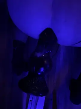 Snapshot of BottomCamp chatting on February 2026 12:42:02 AM BottomCamp online show from February 2026 12:42:02 AM