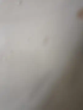 Gusttavotesudoxxvvc online show from October 2025 05:08:02 AM