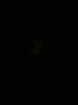 amitsharma7868 online show from April 2026 04:10:02 PM