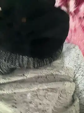 Yasar-Xxxl online show from February 2026 01:44:02 AM