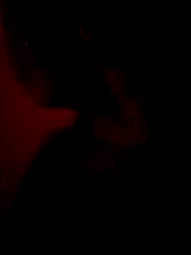 sarahkat86 online show from February 2026 12:45:01 PM