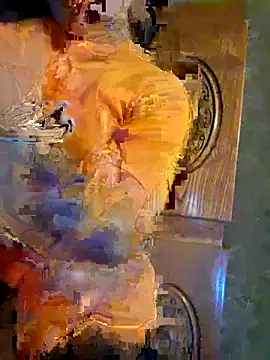 ngocngoc cute online show from April 2026 07:11:01 AM