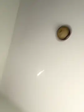 lilcubangoddess online show from October 2025 02:31:01 PM