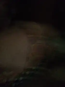 heydimoon4 online show from July 2026 04:15:02 AM