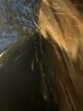 -juicy  online show from February 2026 11:22:01 PM