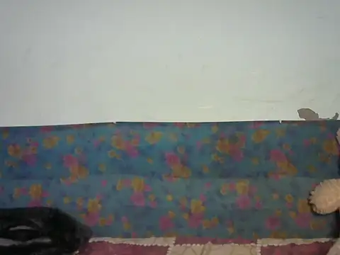 Baby doll9090 online show from January 2026 05:07:01 PM