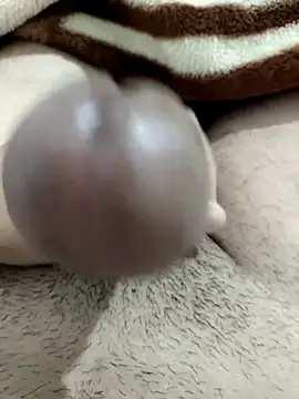 Zepe 12 online show from December 2025 11:25:02 AM