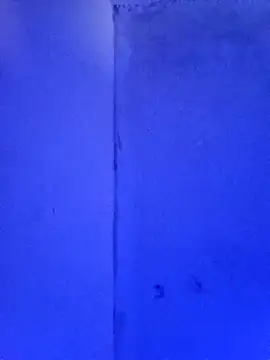 Snapshot of RandalHot chatting on November 2025 02:06:02 PM RandalHot online show from November 2025 02:06:02 PM