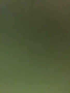 JuanitaMore01 online show from February 2026 09:55:01 PM