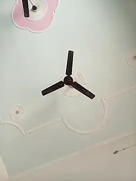 Raju fuckerr online show from February 2026 08:02:01 AM