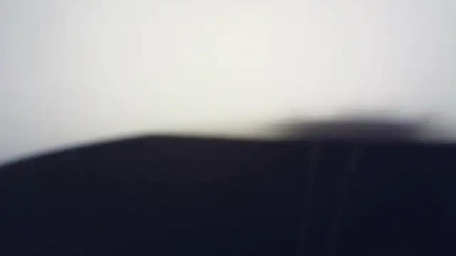 Terraelowen online show from March 2026 01:26:02 PM