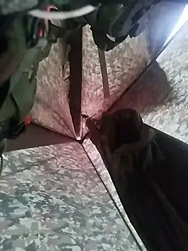 Snapshot of Alabestia12 chatting on November 2025 09:48:01 PM Alabestia12 online show from November 2025 09:48:01 PM