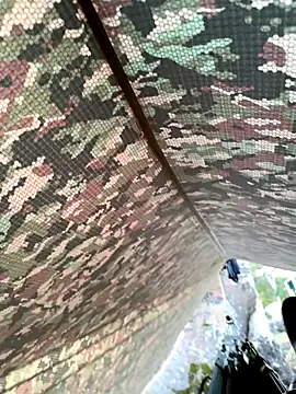 Snapshot of Alabestia12 chatting on November 2025 11:21:02 AM Alabestia12 online show from November 2025 11:21:02 AM