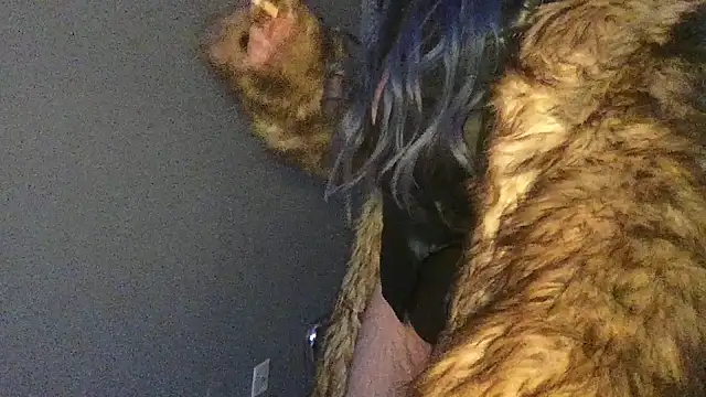 Snapshot of Stevey5894 chatting on November 2025 05:28:02 PM Stevey5894 online show from November 2025 05:28:02 PM