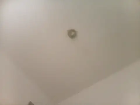 flavinhasensual online show from April 2026 07:51:01 PM