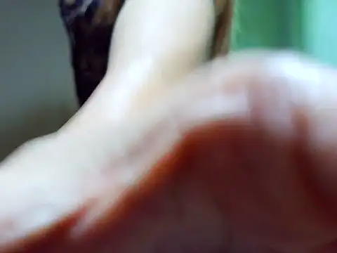 ashley kimxx online show from February 2026 11:42:02 AM