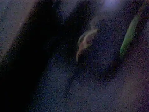 Dotadobelempa online show from January 2026 04:38:02 AM