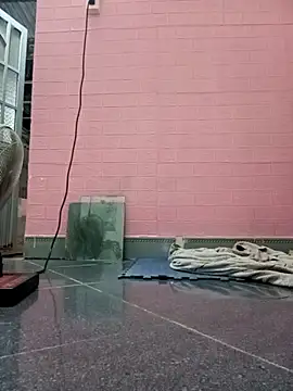 Rose 194 online show from October 2025 02:56:02 PM