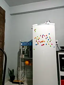 indiazinhabella27 online show from November 2025 02:11:02 AM