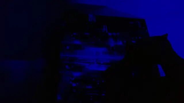 Snapshot of alexgiraldo__ chatting on May 2026 06:49:01 PM alexgiraldo online show from May 2026 06:49:01 PM