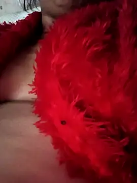 Snapshot of heena3355 chatting on November 2025 04:12:01 AM heena3355 online show from November 2025 04:12:01 AM