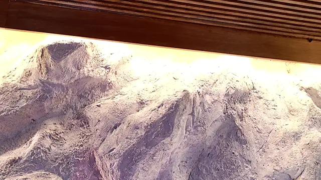 Katarina Rostova online show from November 2025 05:02:01 PM