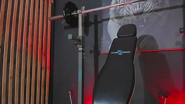 DimitriDeluxe online show from November 2025 07:47:01 PM