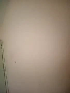 AmandaXXX98 online show from December 2025 02:36:02 PM