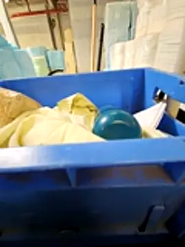 Stingles online show from March 2026 12:41:01 PM