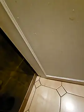 Stingles online show from March 2026 04:06:01 AM