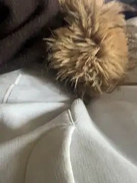 LesAmantsAE2 online show from February 2026 10:14:02 AM