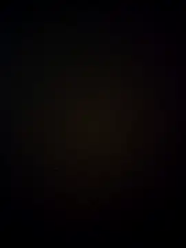A 88 online show from April 2026 11:14:02 AM