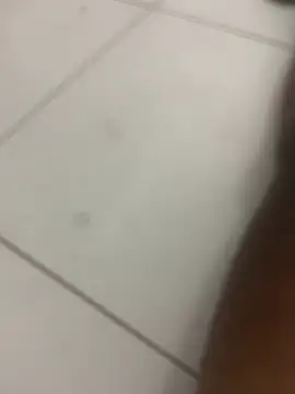 novin21rj online show from April 2026 12:55:02 AM