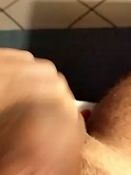 pegaso369 online show from March 2026 10:31:02 PM