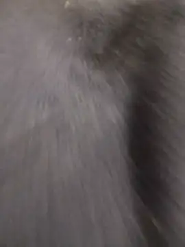 Funny Karina online show from December 2025 06:34:02 PM