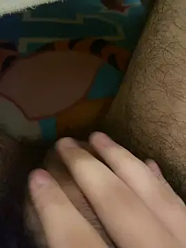 PilarDealer online show from January 2026 05:43:01 AM