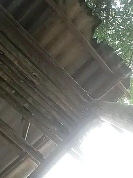 CoMay003 online show from April 2026 05:27:02 AM