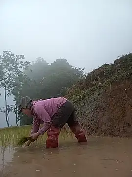 CoMay003 online show from April 2026 10:30:02 AM